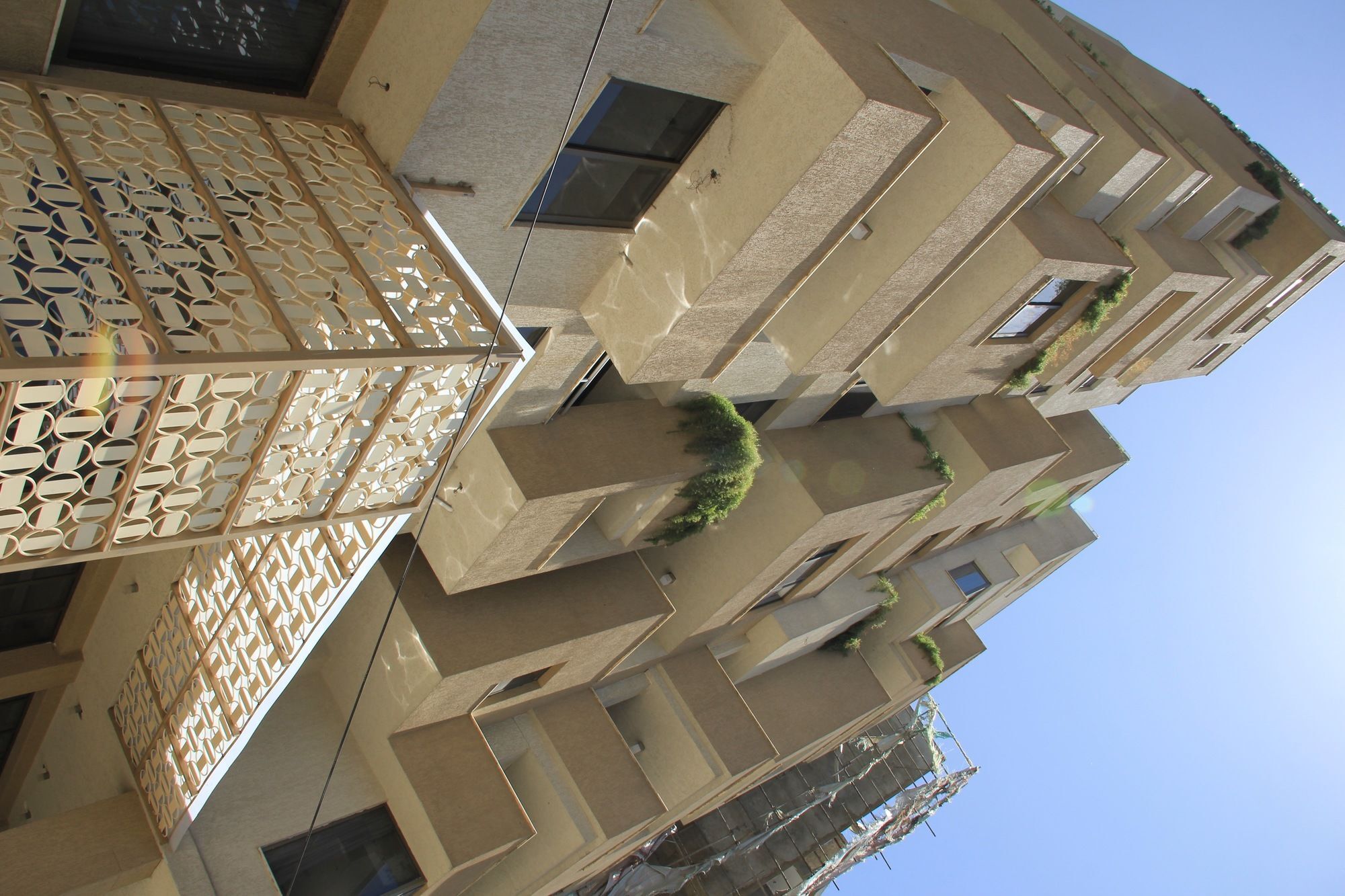 Momona Hotel Adís Abeba Exterior foto